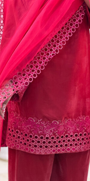 EMBROIDERED VELVET 25